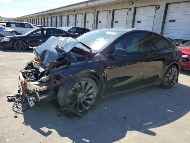 5YJYGDEF1MF081374 Tesla Model Y 