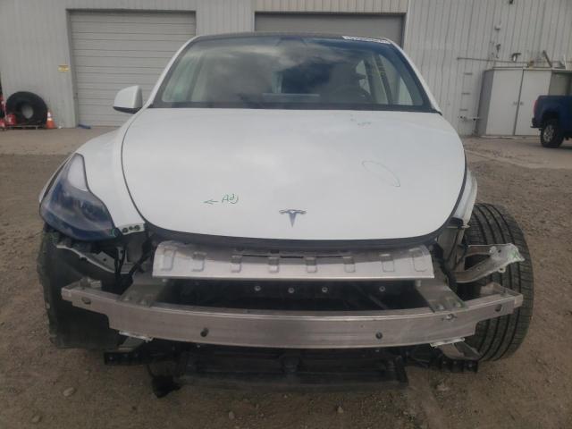 2022 Tesla Model Y VIN: 7SAYGDEF6NF343071 Lot: 51989444