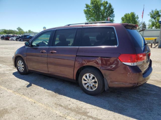 2008 Honda Odyssey Exl VIN: 5FNRL38608B417446 Lot: 52901244