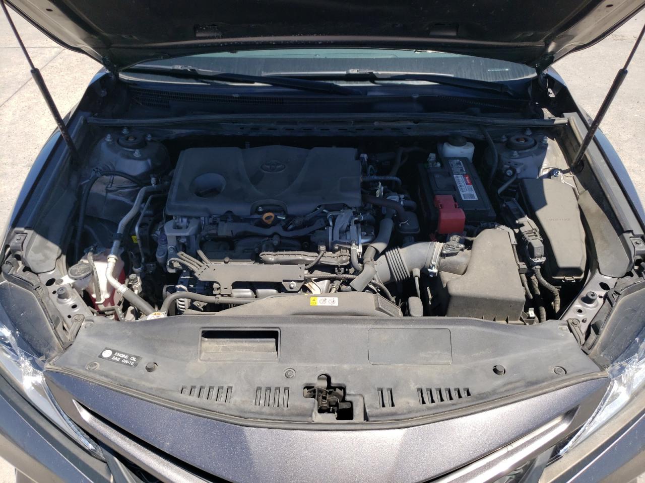 4T1B11HK5KU855172 2019 Toyota Camry L