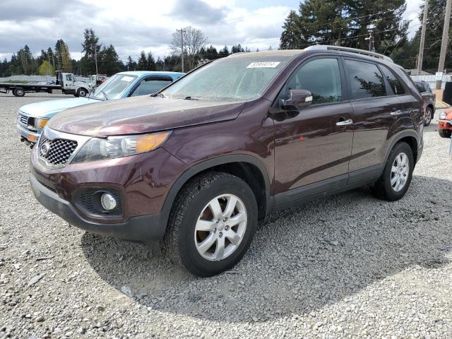 2013 Kia Sorento Lx VIN: 5XYKT3A61DG398999 Lot: 50969014
