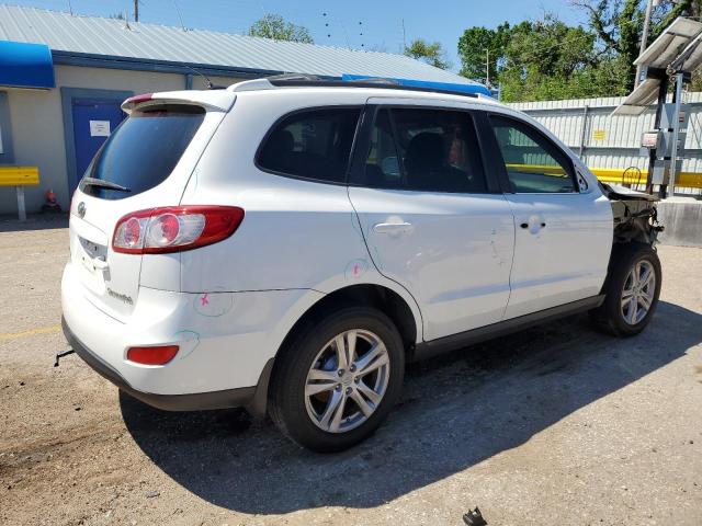 2010 Hyundai Santa Fe Se VIN: 5NMSH4AG8AH355701 Lot: 52817974