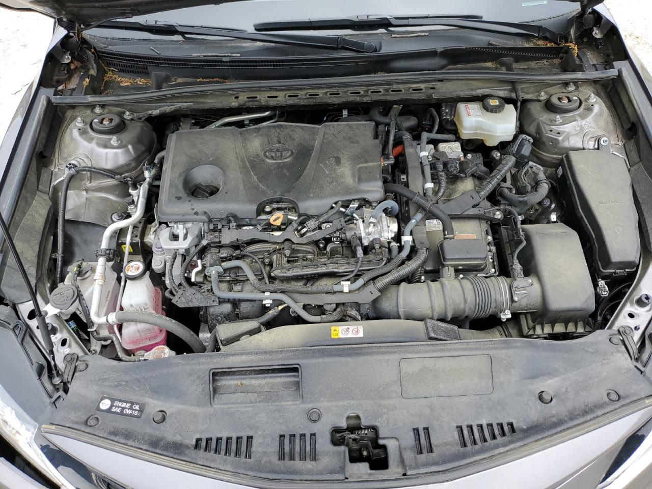 4T1C31AKXNU571114 2022 Toyota Camry Le