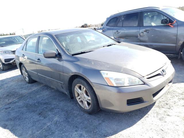 2006 Honda Accord Se VIN: 1HGCM56366A804534 Lot: 50601994