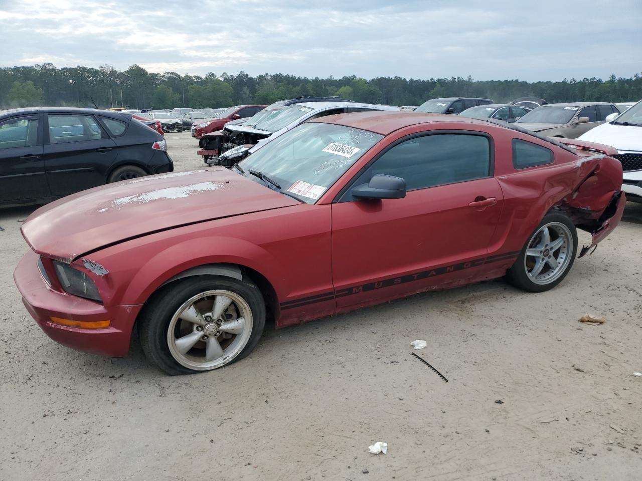 Lot #2484455527 2005 FORD MUSTANG