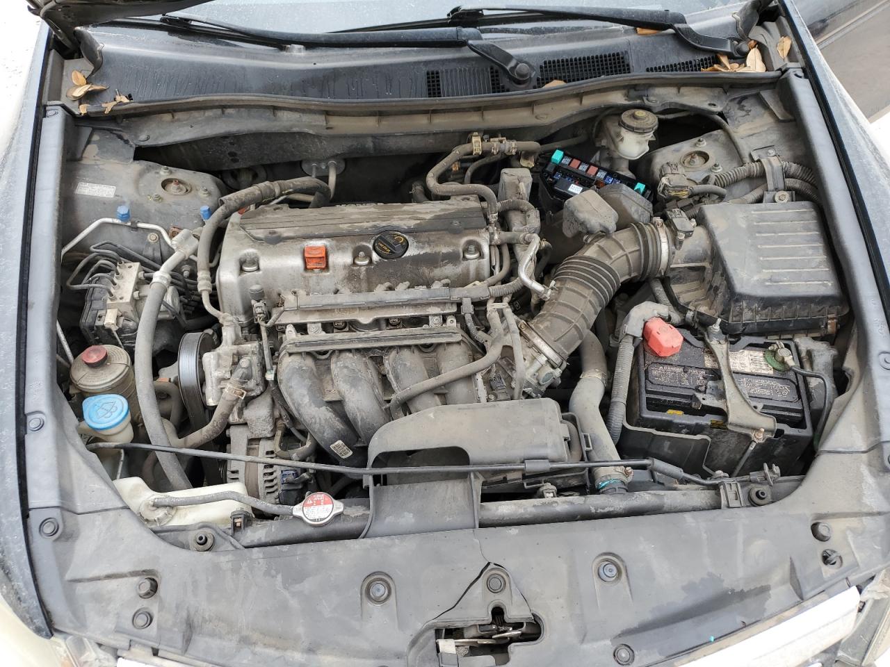 1HGCP2F64BA154774 2011 Honda Accord Se