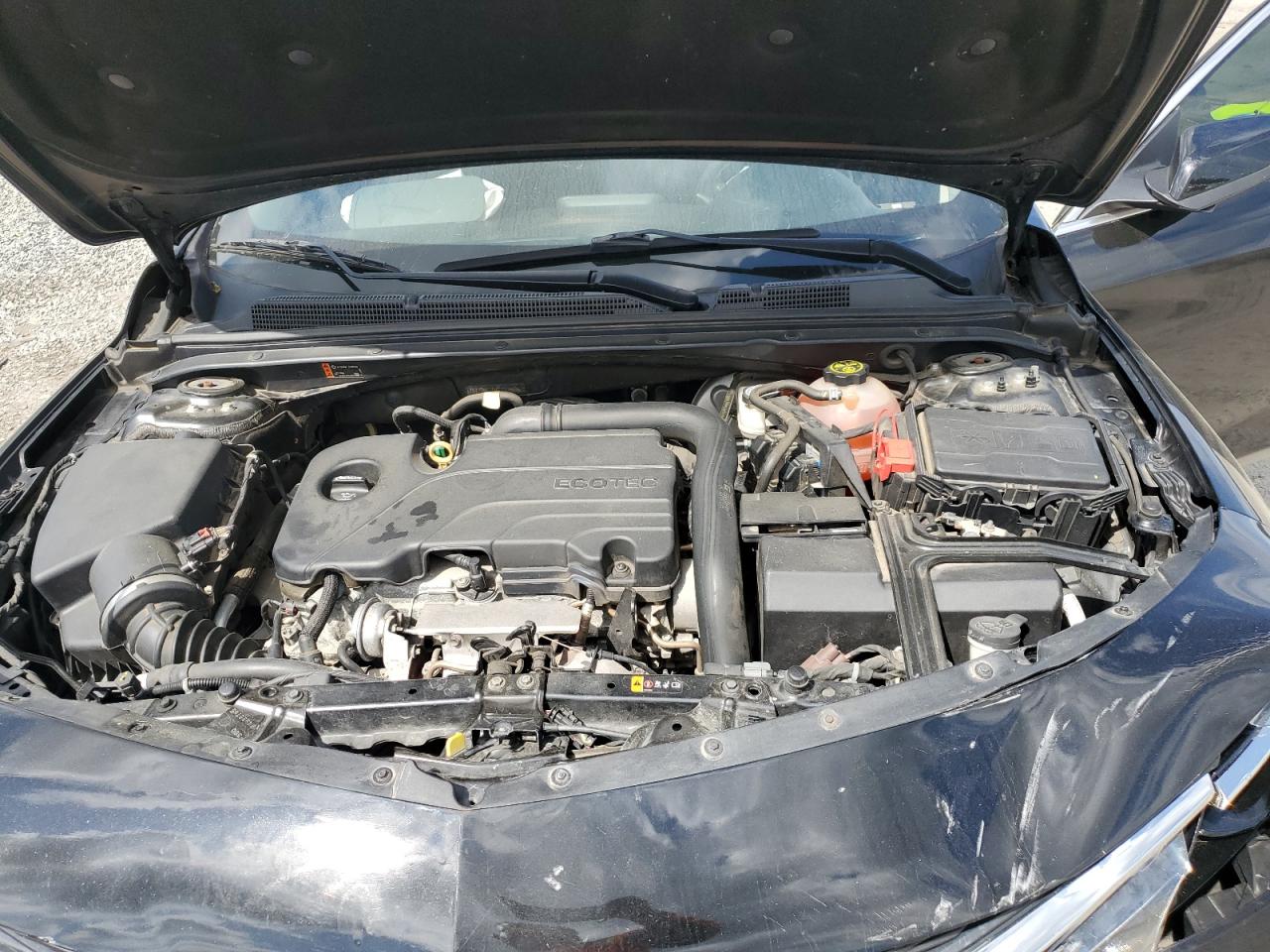 1G1ZD5ST0KF137559 2019 Chevrolet Malibu Lt