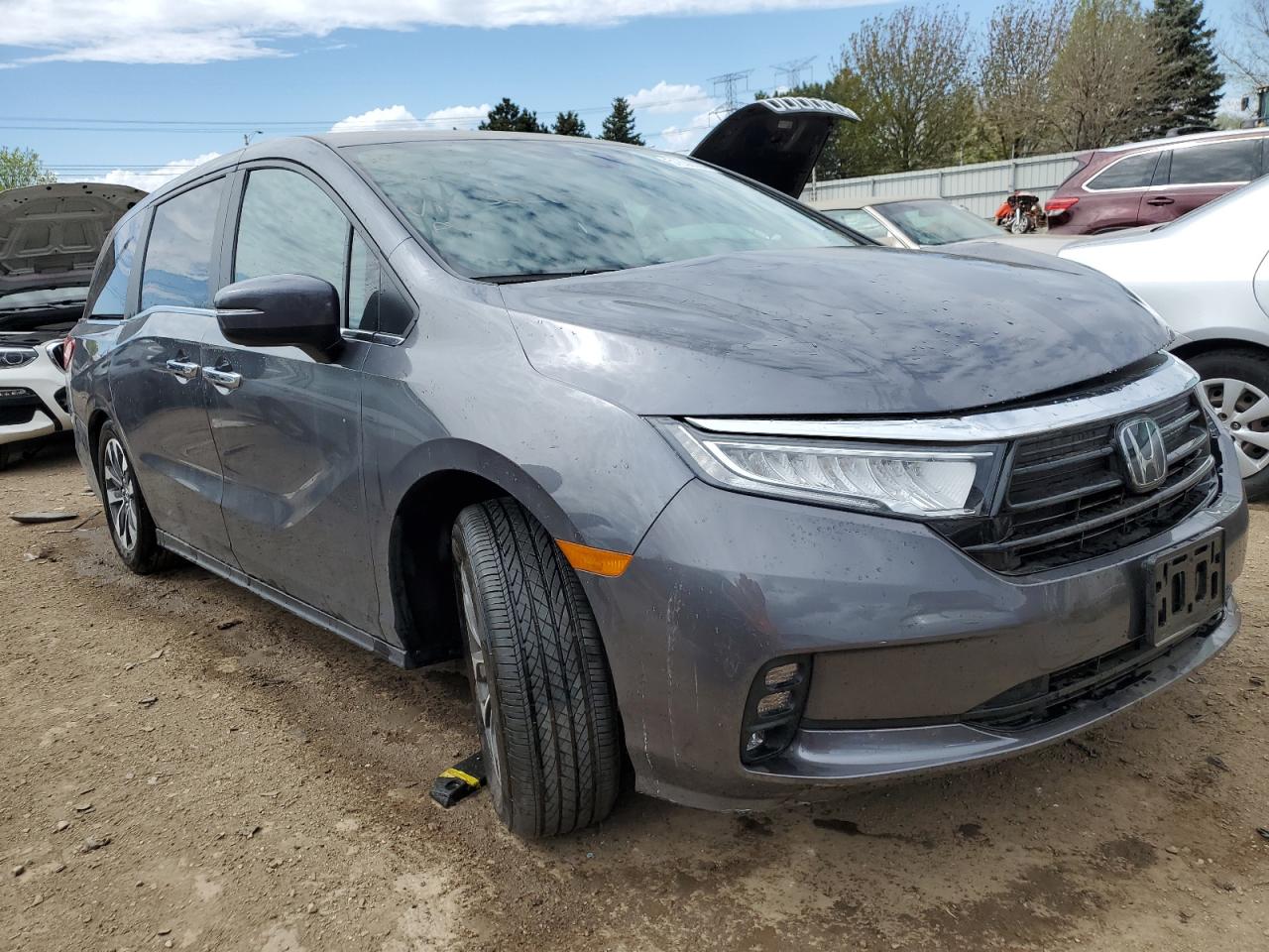 5FNRL6H64RB036072 2024 Honda Odyssey Exl