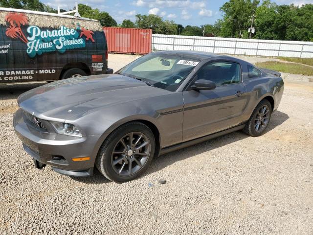 1ZVBP8AM2B5158248 2011 Ford Mustang