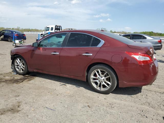 2010 Nissan Maxima S VIN: 1N4AA5APXAC849441 Lot: 50623314