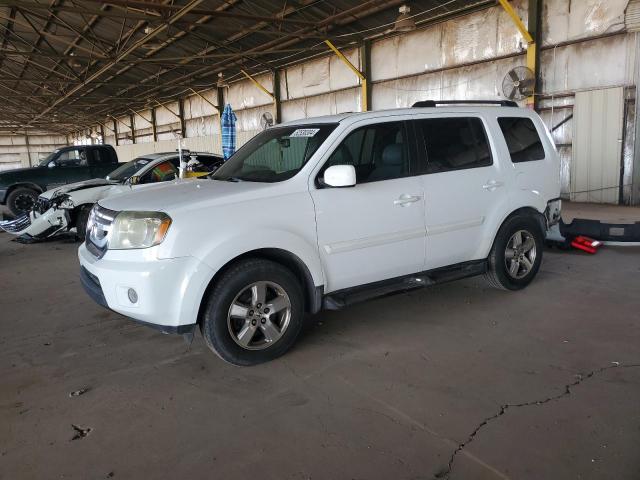 2009 Honda Pilot Exl VIN: 5FNYF38689B011094 Lot: 52530304