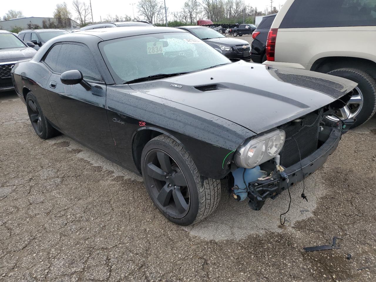 Lot #2496872384 2010 DODGE CHALLENGER