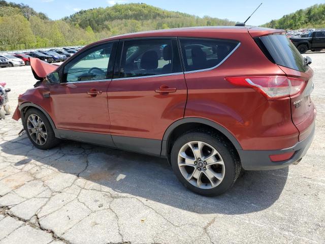 2014 Ford Escape Titanium VIN: 1FMCU0JX7EUC99544 Lot: 52539614