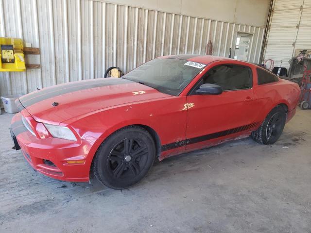 2014 Ford Mustang VIN: 1ZVBP8AM4E5221581 Lot: 50875674