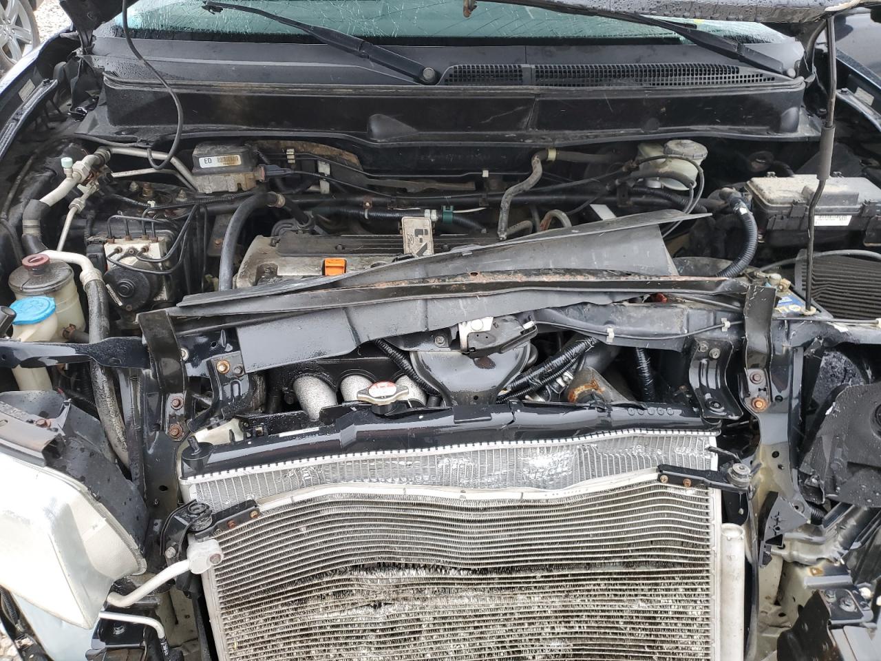 5J6YH28716L027444 2006 Honda Element Ex