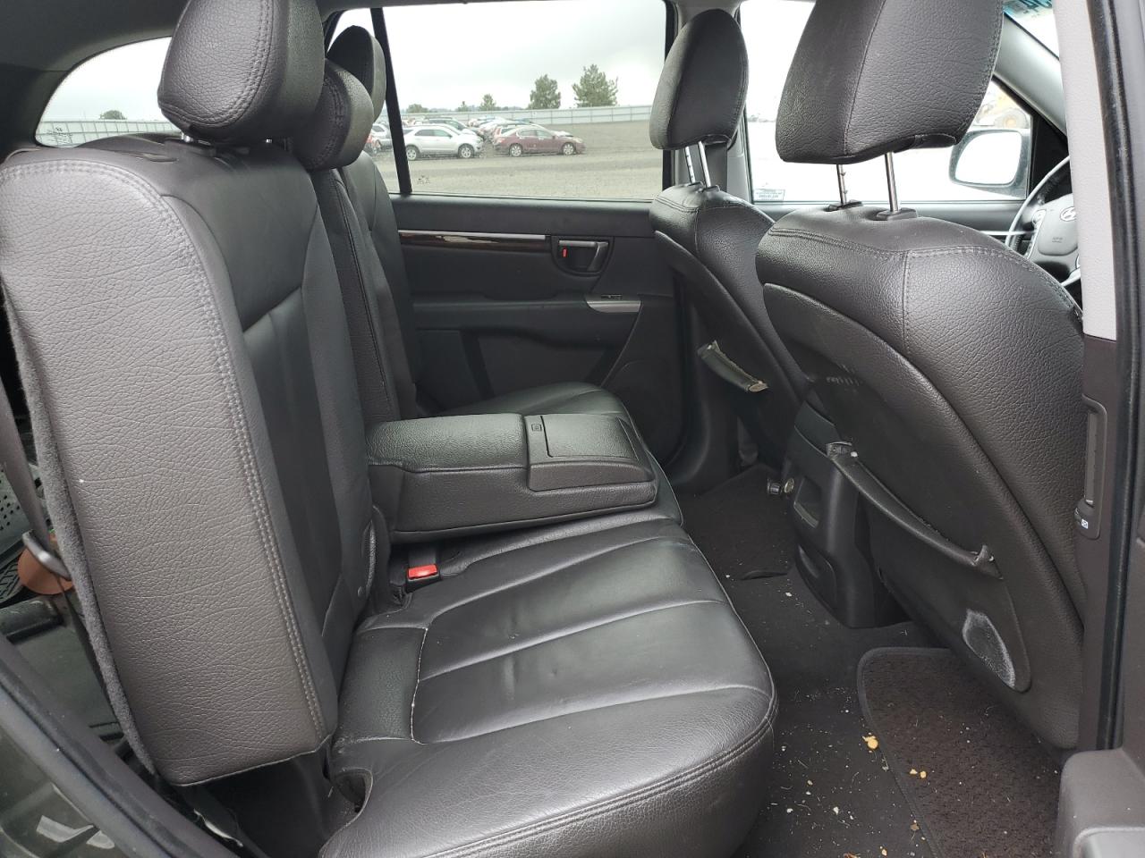 5NMSKDAG5AH339165 2010 Hyundai Santa Fe Limited