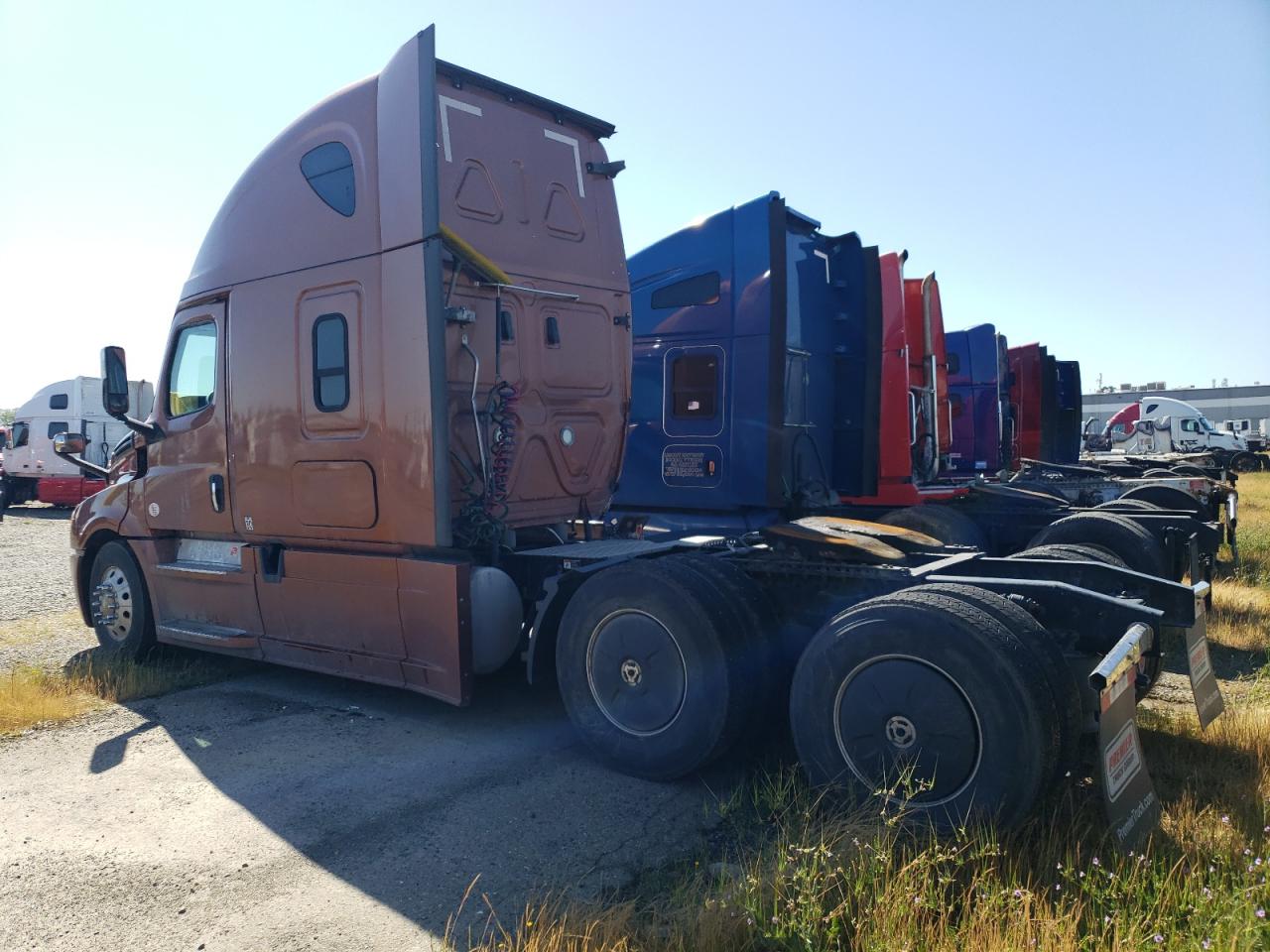 Lot #2570045279 2020 FREIGHTLINER CASCADIA 1