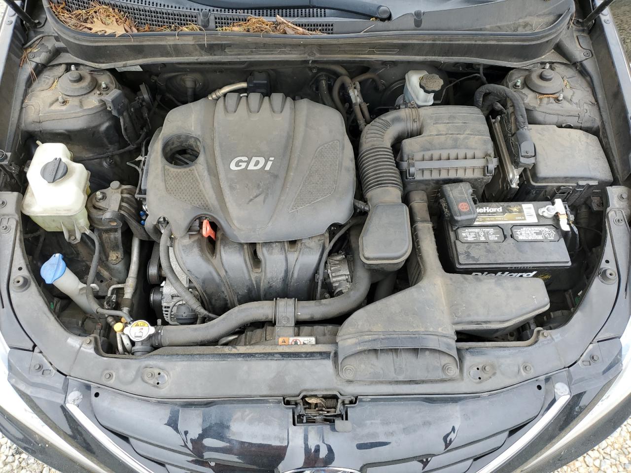 5NPEB4AC7DH721019 2013 Hyundai Sonata Gls