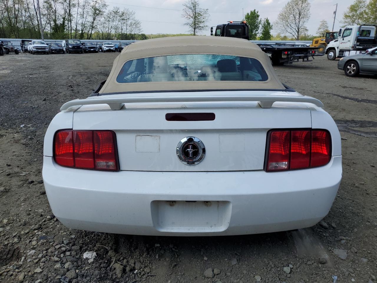 1ZVFT84N355254797 2005 Ford Mustang