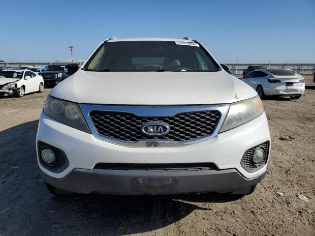 2013 Kia Sorento Lx VIN: 5XYKT3A69DG423678 Lot: 51980044