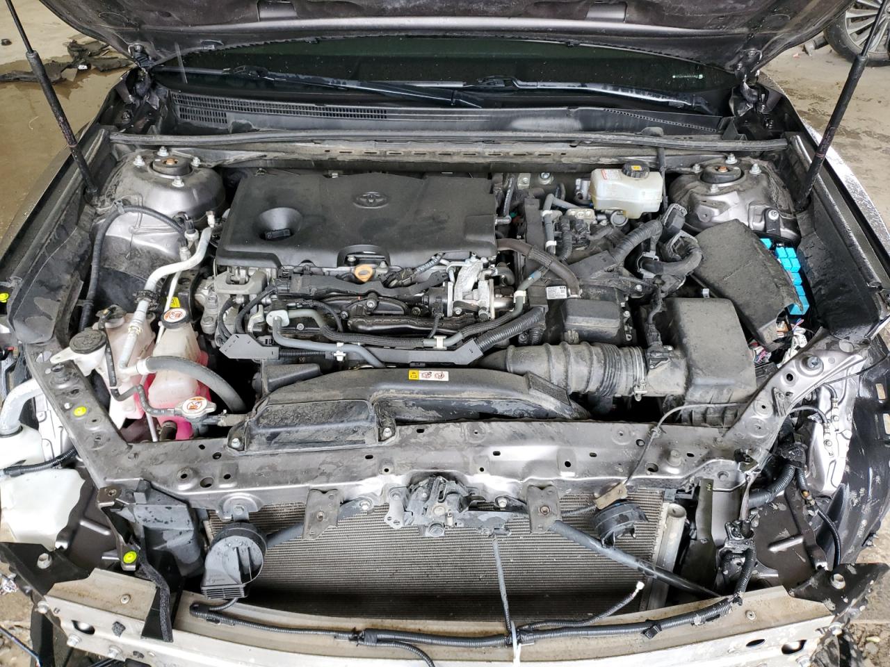 4T1B31HK7KU511627 2019 Toyota Camry Le