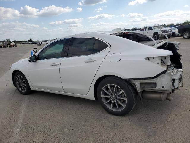 2019 Acura Tlx VIN: 19UUB1F31KA010165 Lot: 51201084