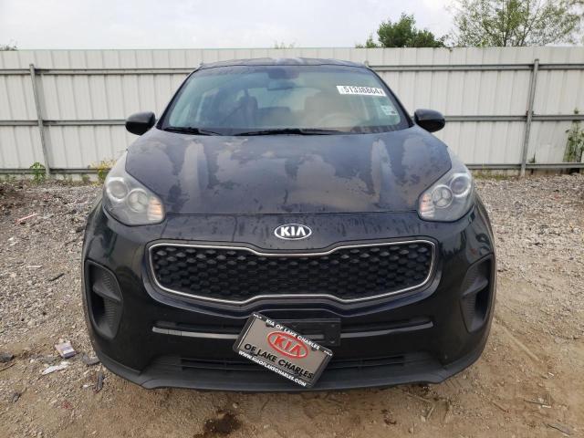 2019 Kia Sportage Lx VIN: KNDPM3AC7K7627902 Lot: 51338864