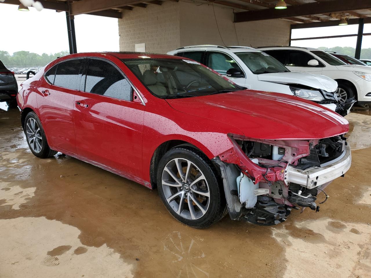 19UUB2F36KA002066 2019 Acura Tlx