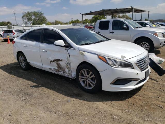 2016 Hyundai Sonata Se VIN: 5NPE24AFXGH339176 Lot: 49462324