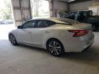 NISSAN MAXIMA S photo