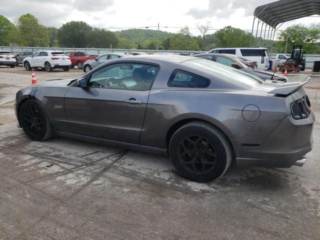 2014 Ford Mustang Gt VIN: 1ZVBP8CF2E5283687 Lot: 51815954