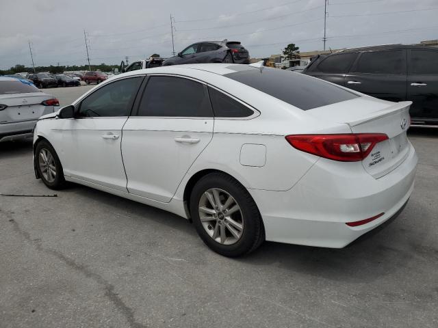 2017 Hyundai Sonata Se VIN: 5NPE24AF7HH563720 Lot: 51647704