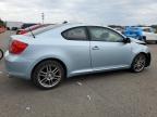 Lot #2701077529 2006 TOYOTA SCION TC