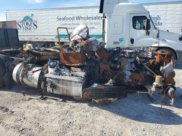 Lot #2461239816 2021 FREIGHTLINER CASCADIA 1 salvage car