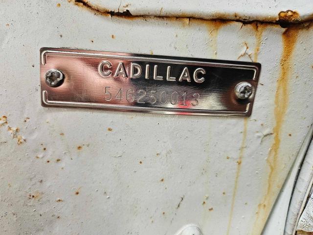Lot #2503187716 1954 CADILLAC DEVILLE CO salvage car