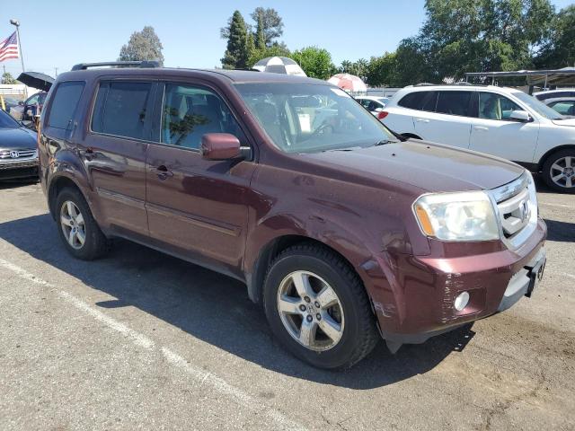 2009 Honda Pilot Exl VIN: 5FNYF485X9B021607 Lot: 52511804