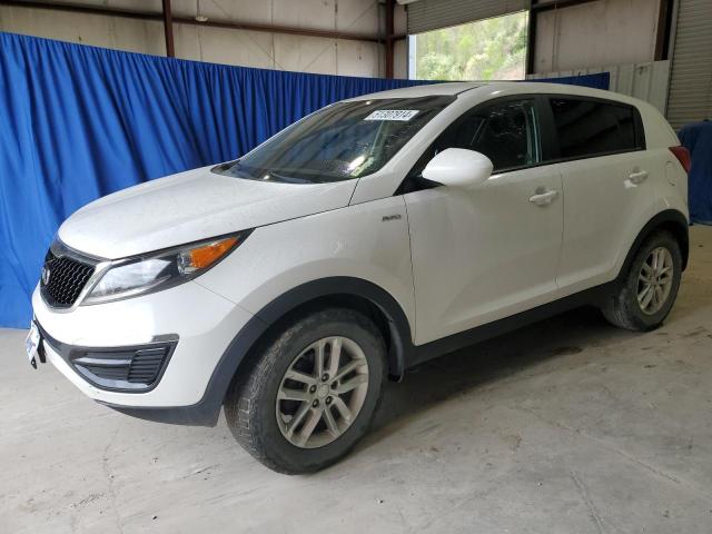 Lot #2505497055 2016 KIA SPORTAGE L salvage car