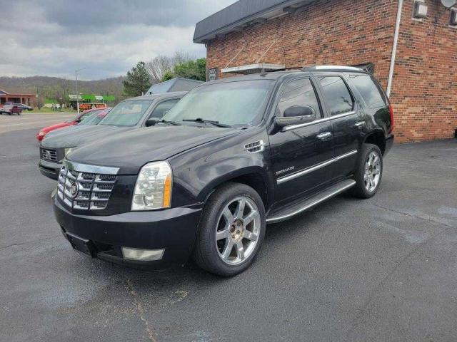 1GYUKBEF0AR136091 | 2010 Cadillac escalade luxury