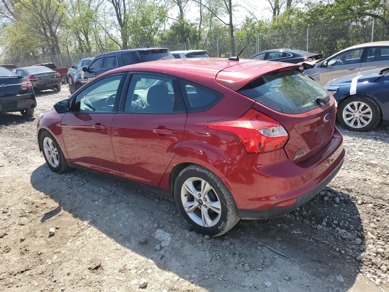 1FADP3K29EL438704 2014 Ford Focus Se