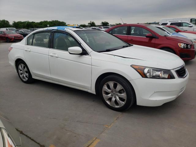 2009 Honda Accord Exl VIN: 1HGCP26849A003560 Lot: 51823514