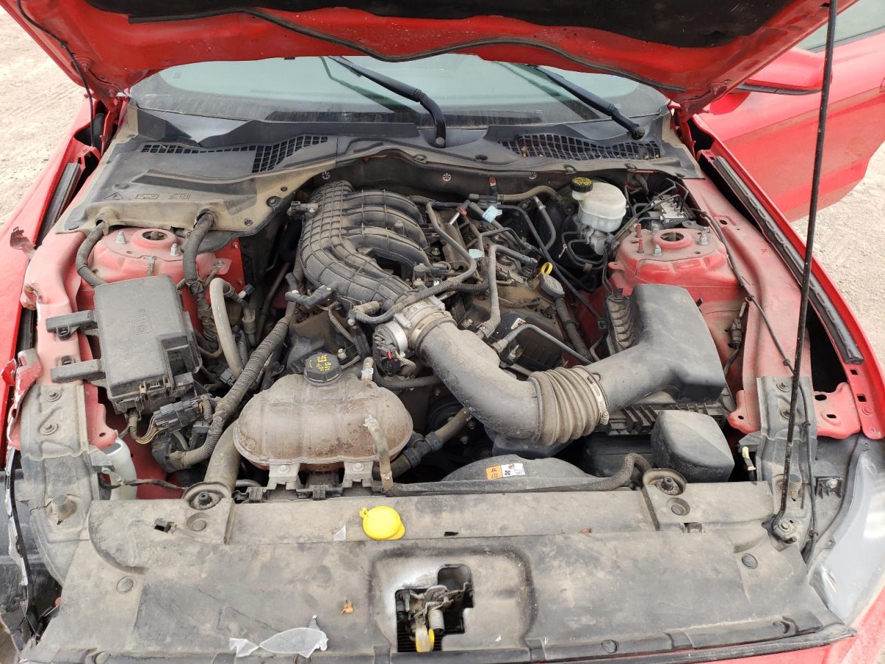 1FA6P8AM0F5306770 2015 Ford Mustang