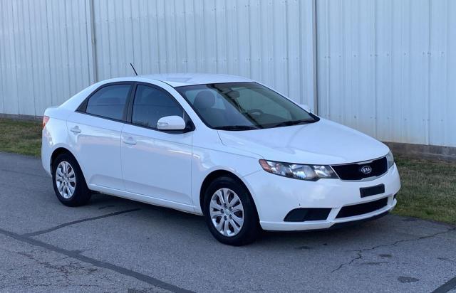 Lot #2461413513 2010 KIA FORTE EX salvage car