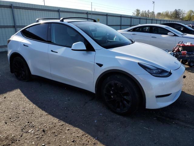 2021 Tesla Model Y VIN: 5YJYGDEE1MF161135 Lot: 50693214