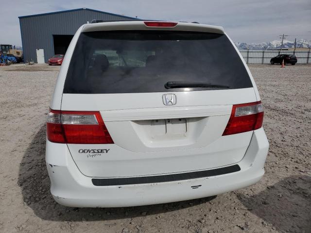 2006 Honda Odyssey Ex VIN: 5FNRL38426B405245 Lot: 49811194