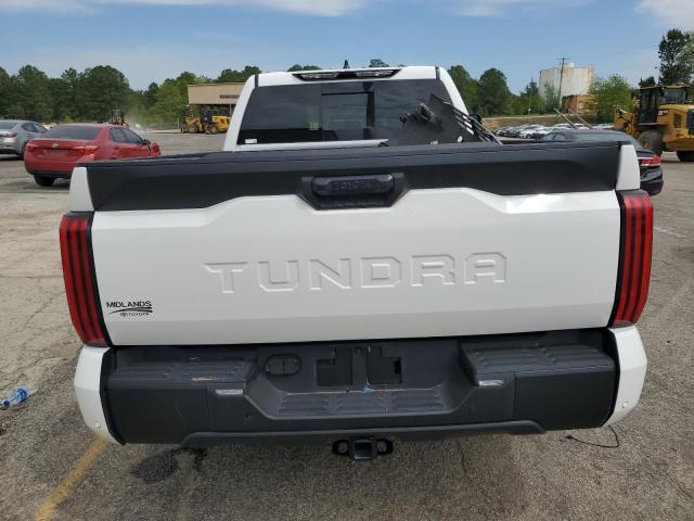 2022 Toyota Tundra Double Cab Sr VIN: 5TFLA5AA0NX007866 Lot: 50962334