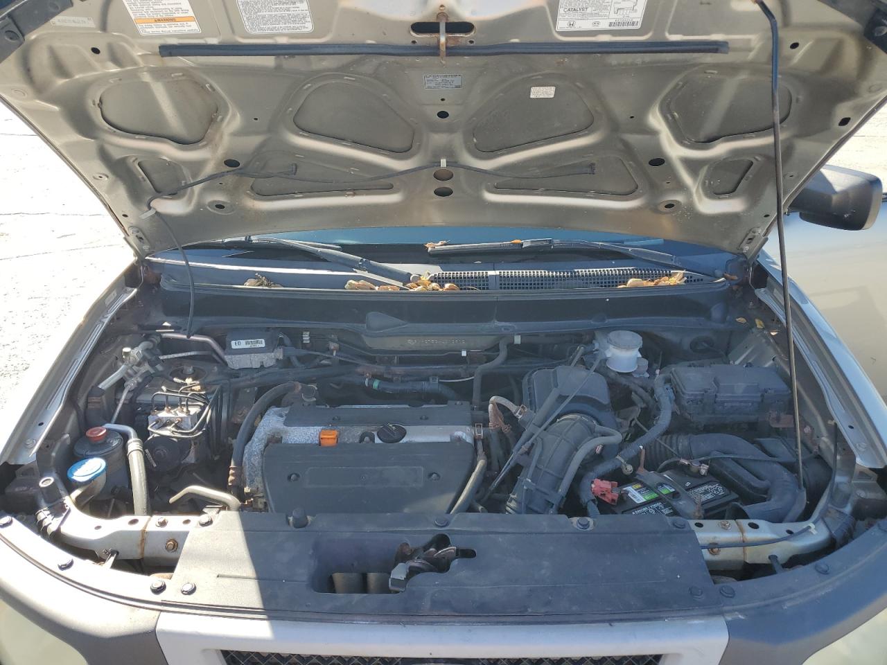 5J6YH27534L013915 2004 Honda Element Ex