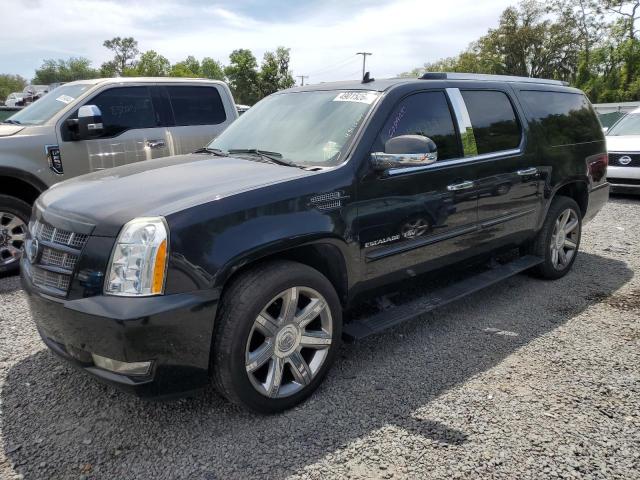 Lot #2459205586 2012 CADILLAC ESCALADE E salvage car