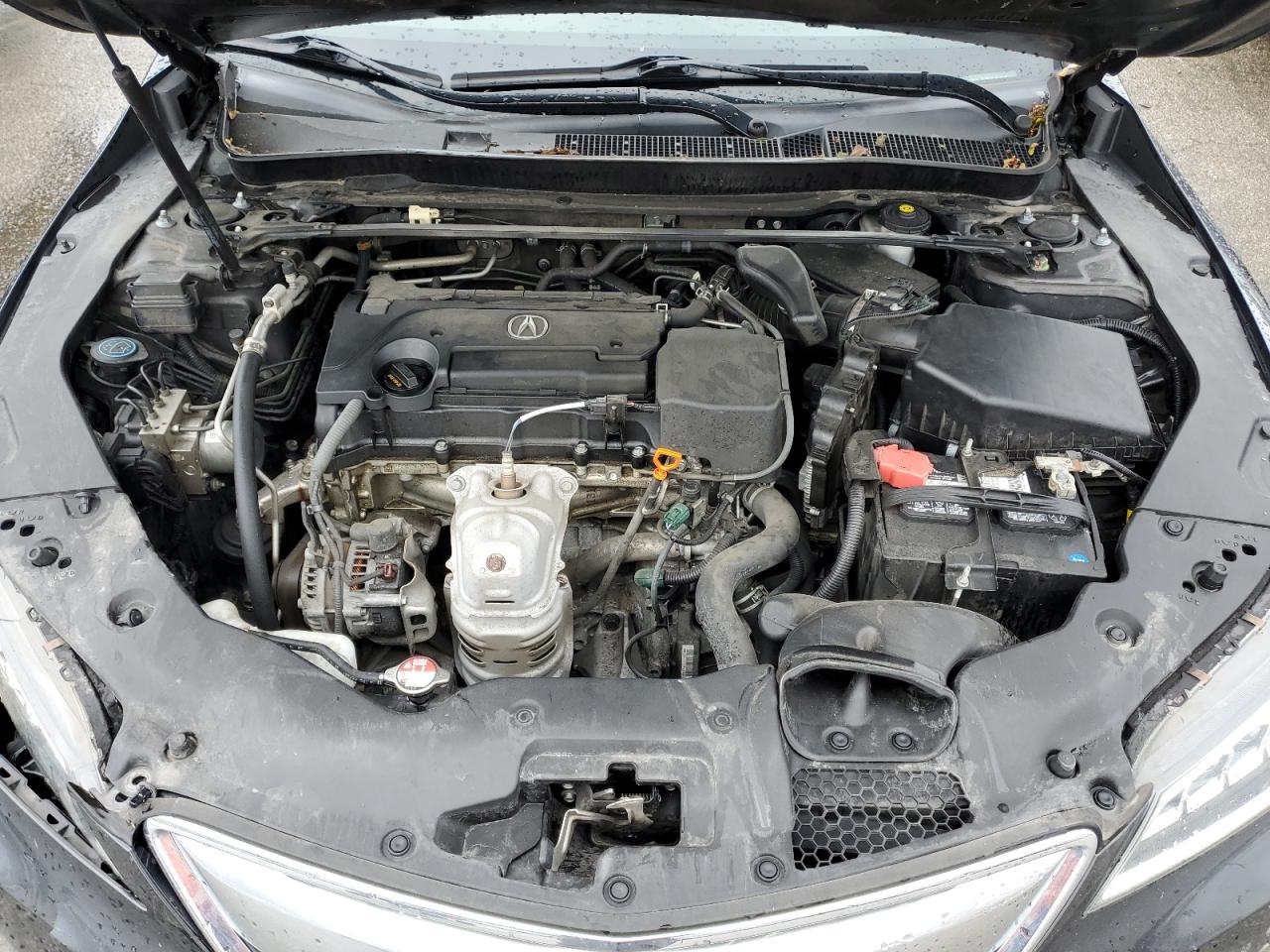 19UUB1F3XFA030307 2015 Acura Tlx