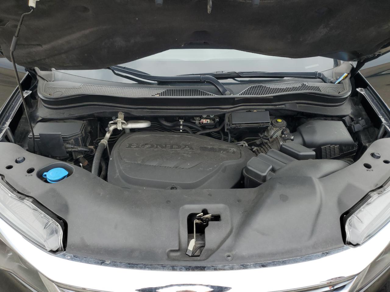 5FNYF6H5XKB083753 2019 Honda Pilot Exl