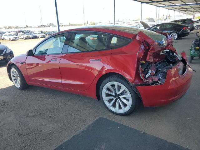 2022 Tesla Model 3 VIN: 5YJ3E1EB0NF304999 Lot: 50243544